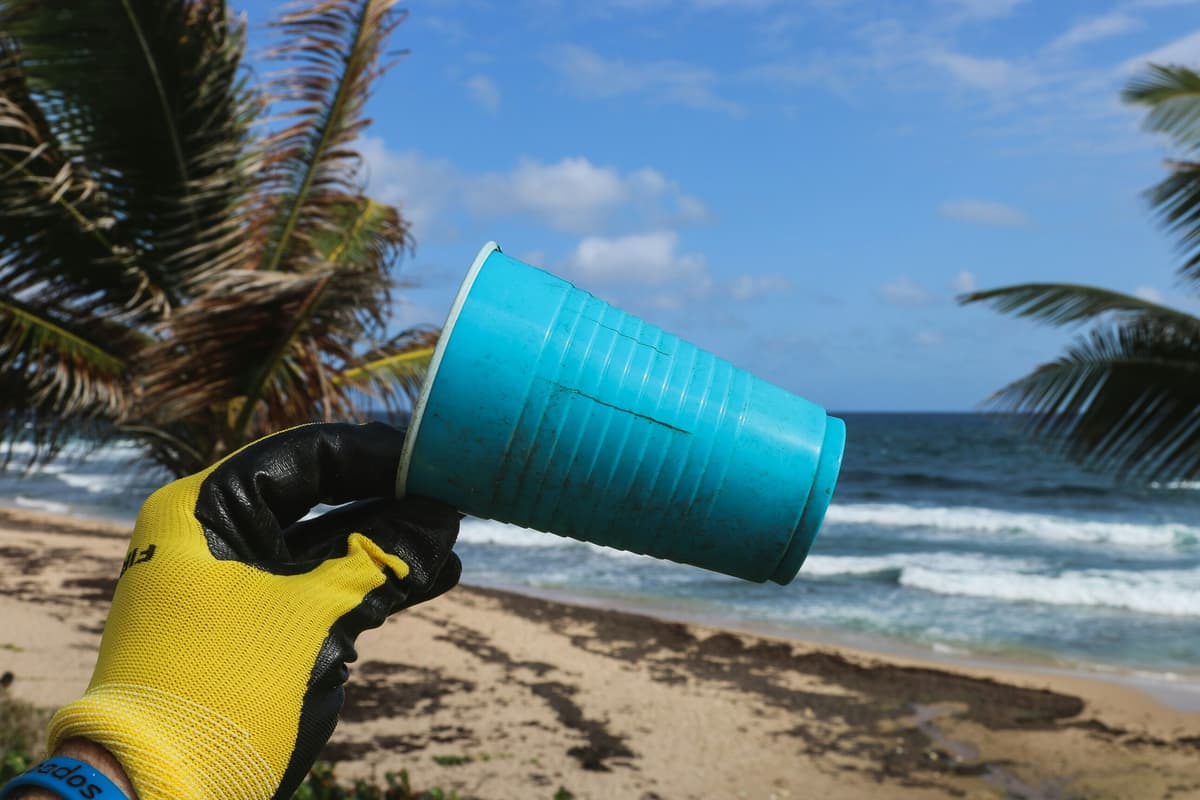 Sustainable Wandering: Practical Steps to Leave Places Better Than You Found Them
